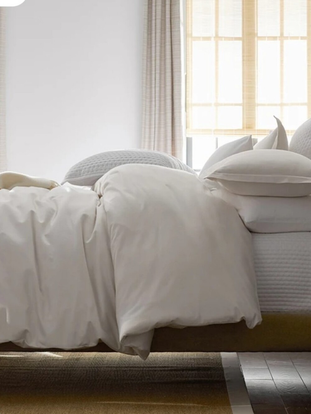 New Company StorebLuxe Ultra-Cozy Cotton Velvet Flannel Queen Flat Sheet Cream